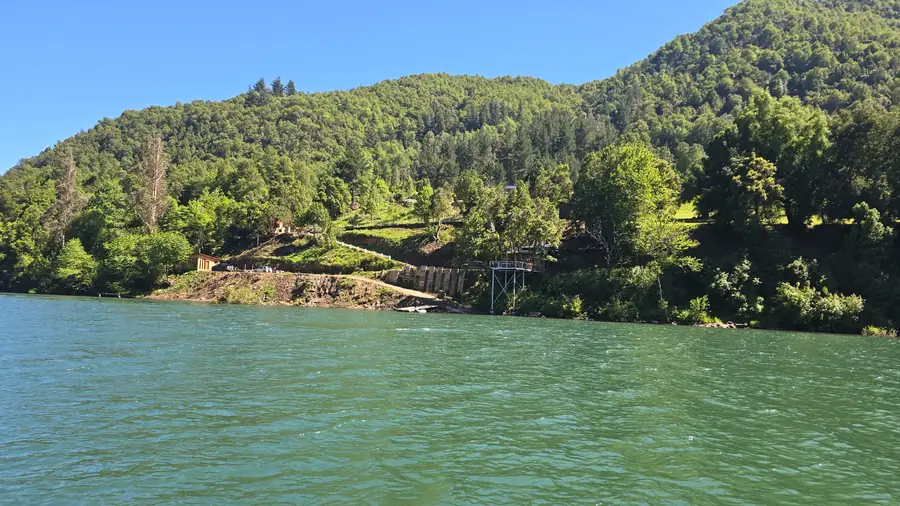 Cerro cubierto de bosque cayendo sobre el agua verde