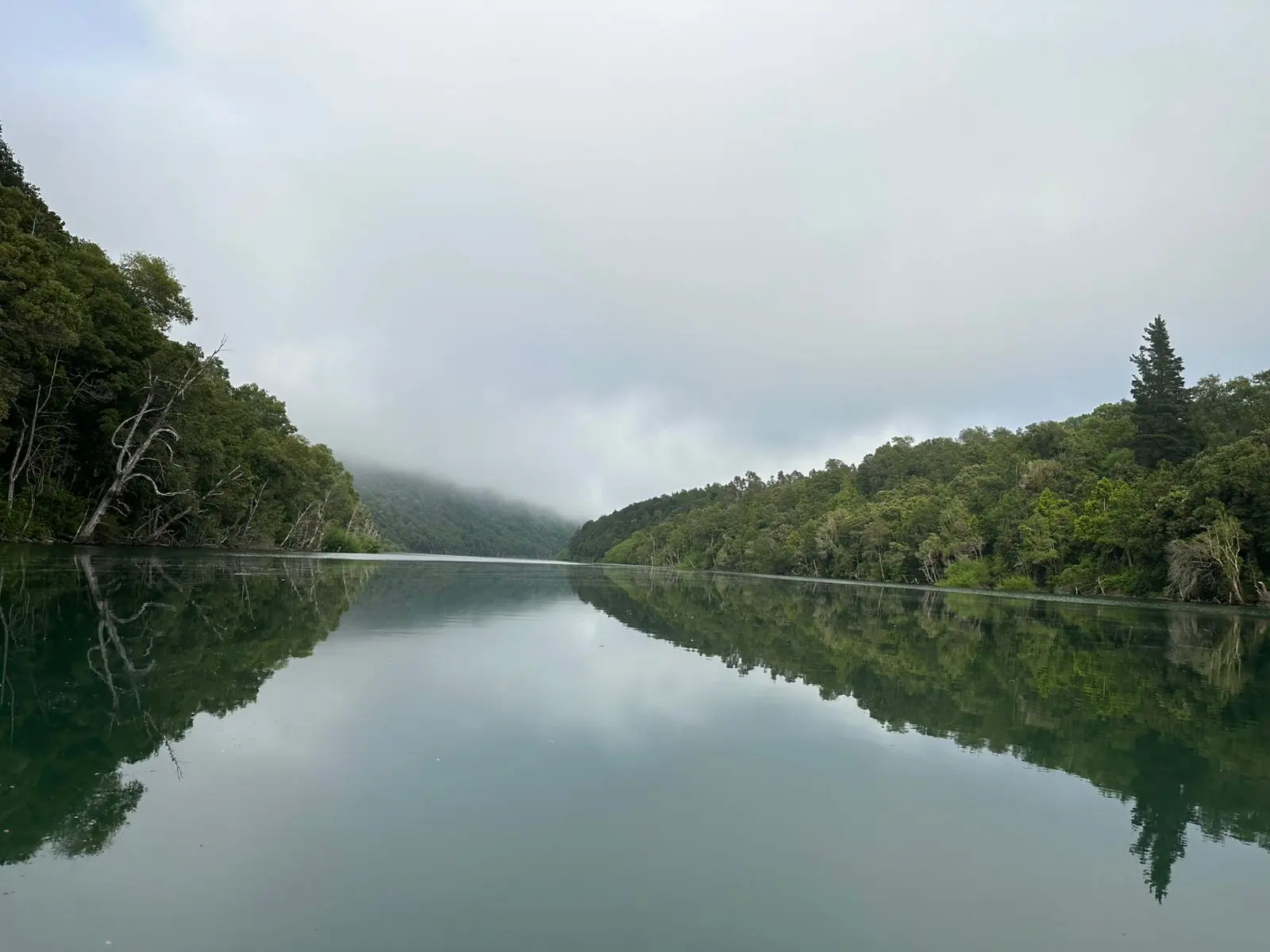 Agua quieta como espejo entre laderas de bosque, con niebla baja al amanecer
