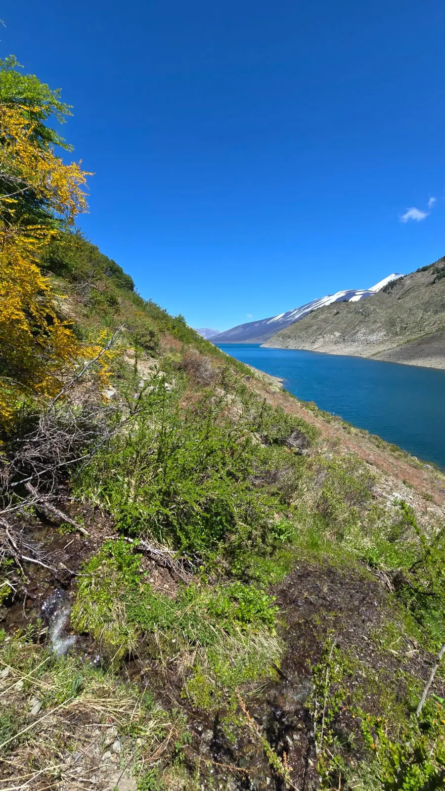 Faldeo de montaña sobre un lago turquesa, con cumbres nevadas al fondo