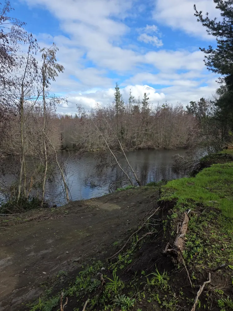 Ribera del terreno del club sobre el agua, con el talud despejado